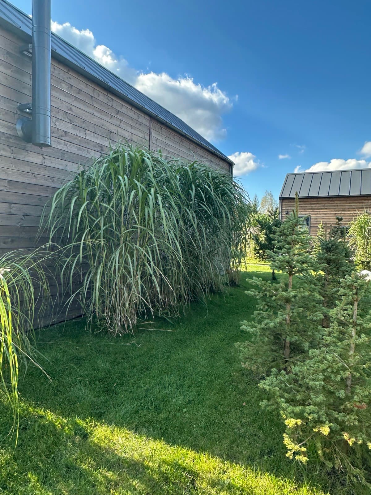 Perspektywa na rząd domków w resorcie