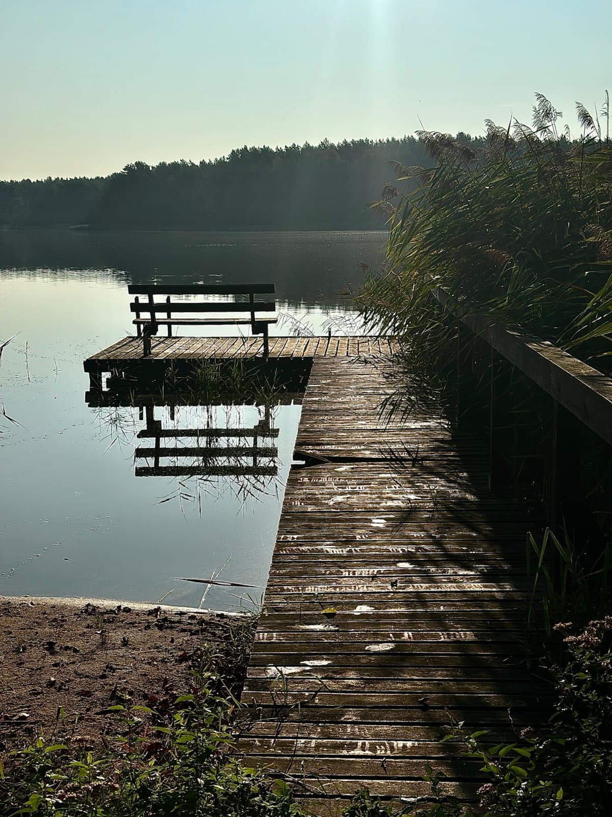 Rodzina z dziećmi na plaży nad jeziorem na Mazurach